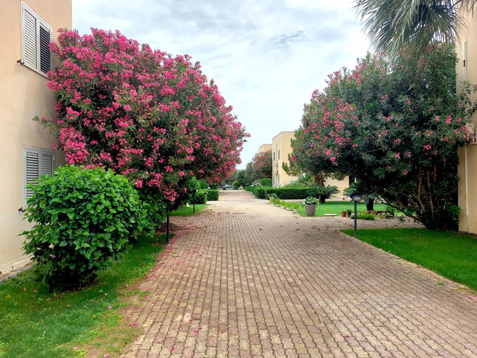 مارزاميمي Giallomare المظهر الخارجي الصورة