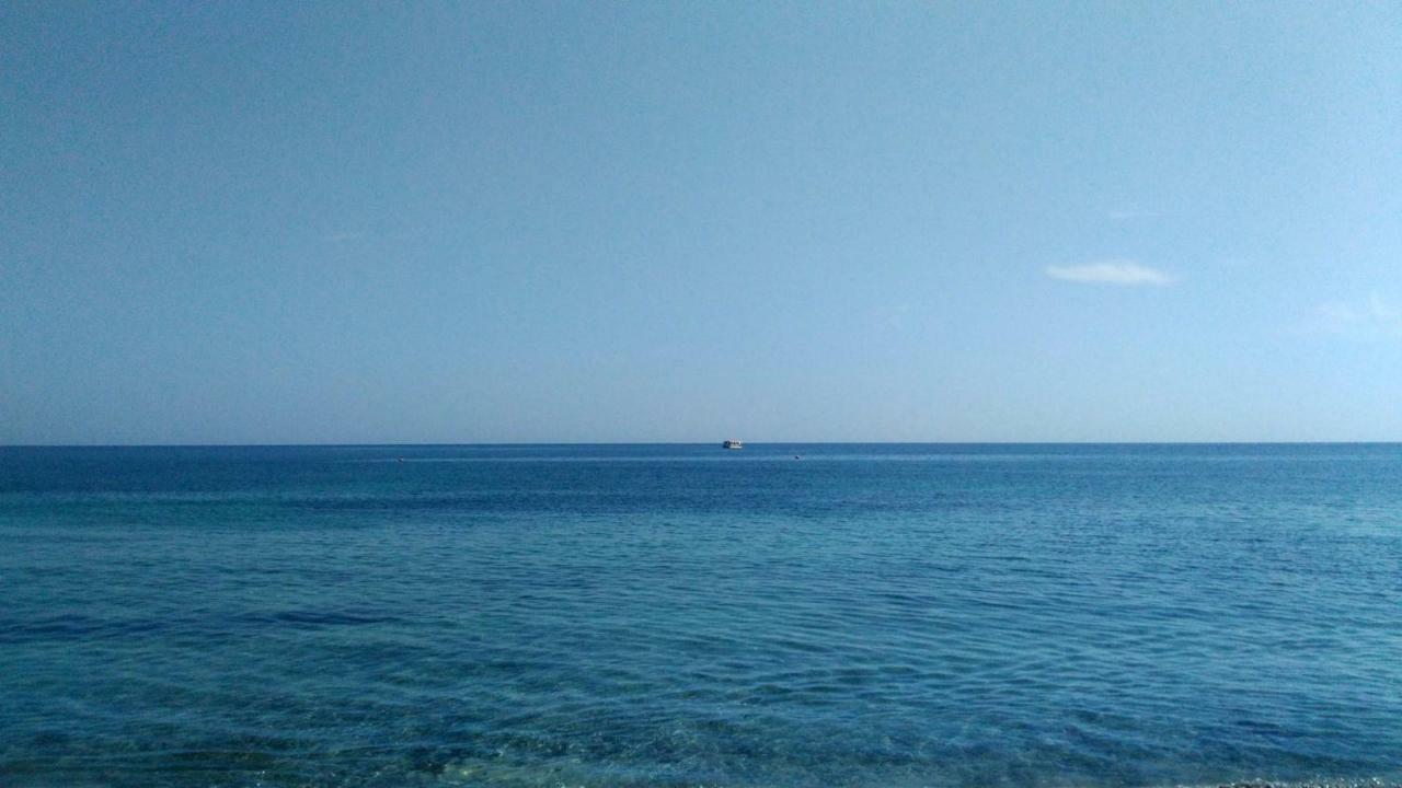 مارزاميمي Giallomare المظهر الخارجي الصورة
