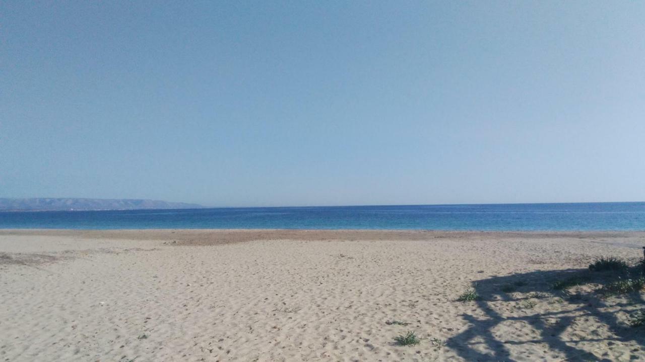 مارزاميمي Giallomare المظهر الخارجي الصورة
